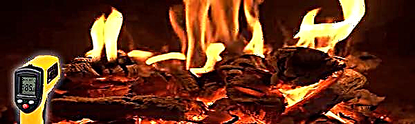 Quelle est la température optimale pour brûler du bois