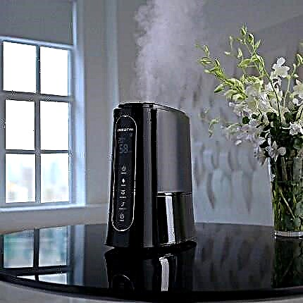 Where to put the humidifier in the room: choosing the best place for the device + expert advice