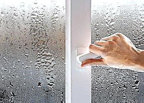 Cómo deshacerse de la humedad en un apartamento: formas efectivas de reducir la humedad en una sala de estar