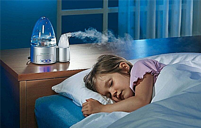 What are humidifiers: the main types, their features + tips for customers to choose