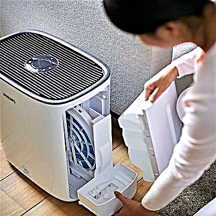 Hur man rengör luftfuktaren från skala och mögel hemma: de bästa sätten + rengöringsinstruktioner