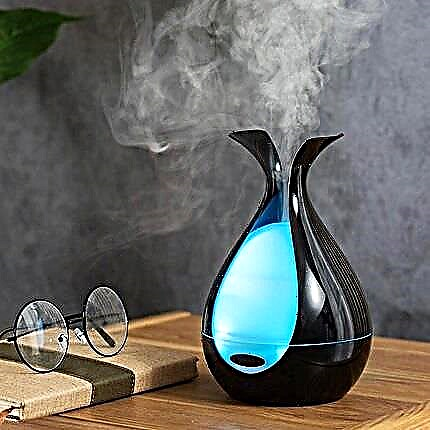 Ultrasonic humidifier: pros and cons, customer recommendations