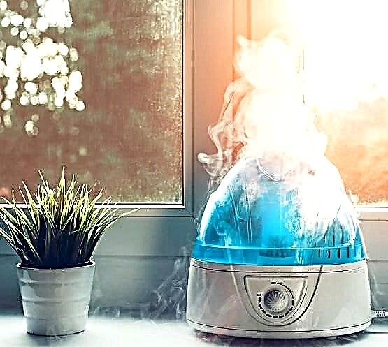 The harm and benefits of the humidifier: the arguments for and against the use of appliances in the apartment