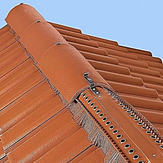 Ventilação da cumeeira do telhado: tipos + manual de instalação para faixas e arejadores