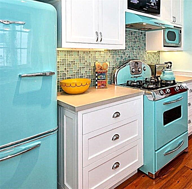 Refrigerator and gas stove in the kitchen: the minimum distance between appliances and placement tips