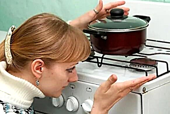 Stinks of gas from the stove: the causes of the smell of gas from the oven and from the burners and tips for eliminating them