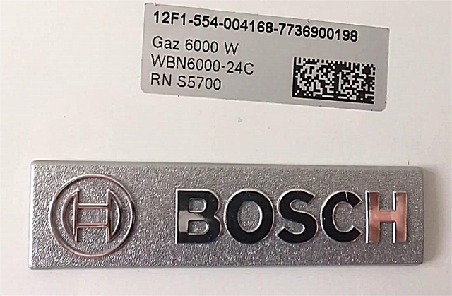 Kesalahan boiler gas Bosch: menguraikan kesalahan umum dan menyelesaikannya