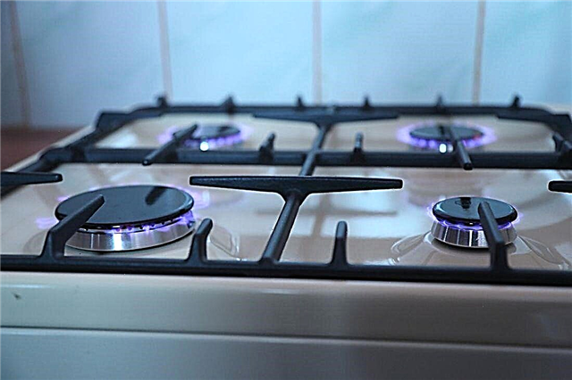 Which is better - gas or electric stove? Comparison of gas and electrical equipment