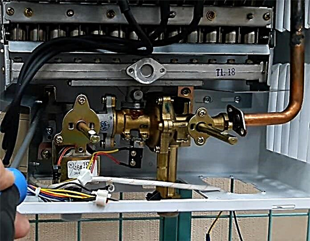 Reparo de uma unidade de água de um gêiser: montagem de uma unidade, grandes avarias e instruções detalhadas para reparo