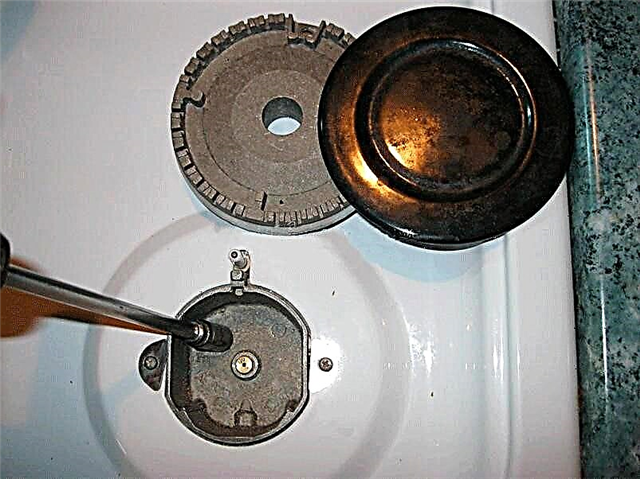 Reemplazo de las boquillas en una estufa de gas: propósito, dispositivo e instrucciones detalladas para reemplazar las boquillas