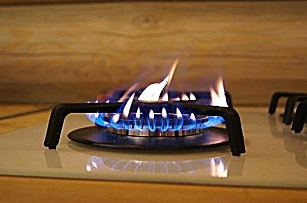 O queimador de gás queima muito: mau funcionamento popular e recomendações para sua eliminação