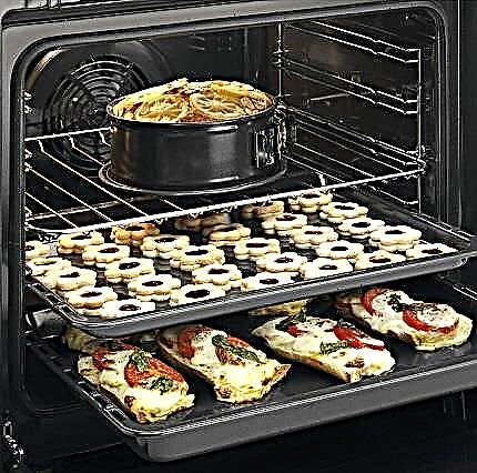 What is convection in a gas oven and is it needed? Useful tips for housewives on the selection and operation