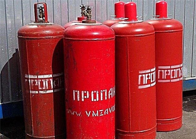 Characteristics of typical 50 liter gas cylinders: design, dimensions and weight of the cylinder