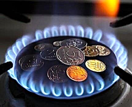 Cómo ahorrar gas al calentar una casa privada: una descripción general de las mejores formas de ahorrar gas