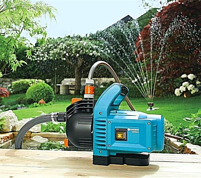 The best surface pumps: we choose pumping equipment for home and country communications