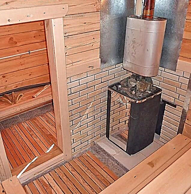Poêle à gaz: TOP-10 des poêles de sauna pour les bains russes et finlandais