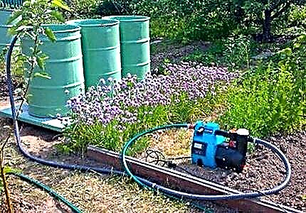 Wie man eine gute Pumpe wählt, um den Garten mit Wasser aus einem Teich, Fass oder Teich zu bewässern