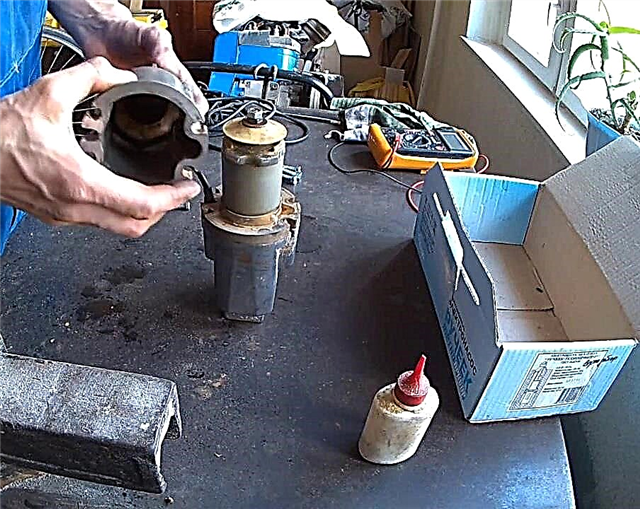 Reparatur der Trickle-Pumpe zum Selbermachen: Reparatur beliebter Pannen