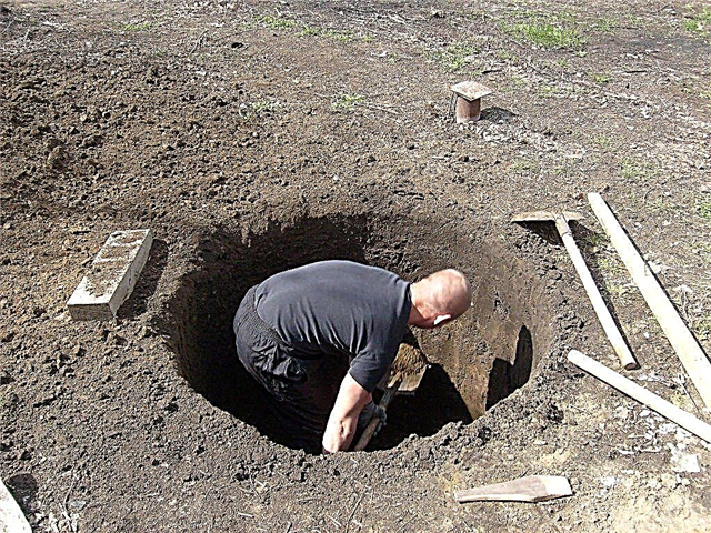 Excavar un pozo con sus propias manos: tipos de estructuras de pozos + una visión general de las mejores tecnologías de excavación
