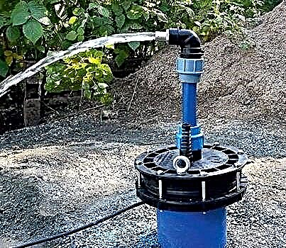 Wie man einen Brunnen schwingt: Methoden zum Pumpen nach dem Bohren und während des Betriebs