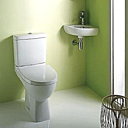 مغاسل صغيرة في المرحاض: أصناف ، واختيار صور من الخيارات وميزات الاختيار