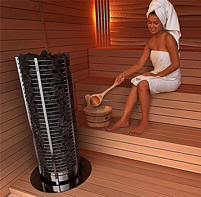 Elektrisk ovn til sauna og bad: TOP-12 af de bedste modeller + anbefalinger til kunderne