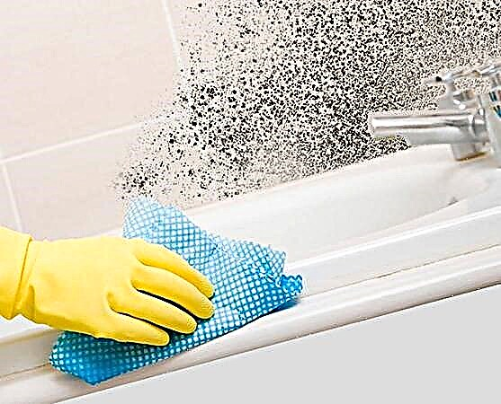Black mold in the bathroom: how to get rid of a fungus + effective means to combat and prevent