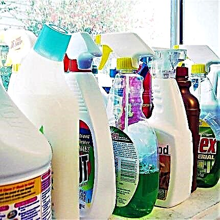 Il miglior detergente per il bagno: i detergenti idraulici pratici più votati