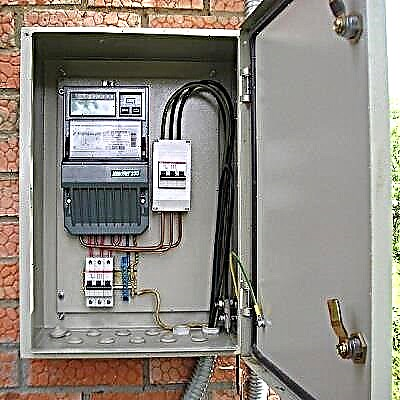 Boîte de rue pour le compteur électrique: exigences et caractéristiques du choix et de l'installation du panneau électrique