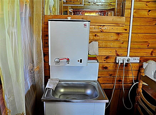 Lavabo Cottage con agua caliente: clasificación de los mejores modelos + consejos para compradores potenciales