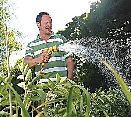 Watering nozzle: selection guidelines + product overview of popular brands