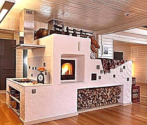 Types of brick ovens for the home: types of units according to purpose and design features