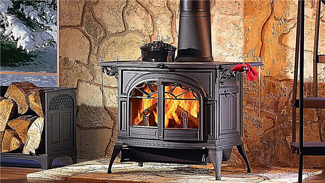 Wood stoves for heating a private house: rating of popular models + guidance for the buyer