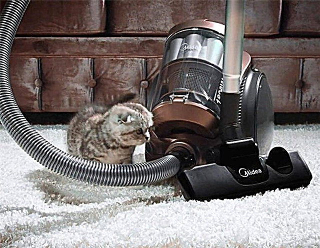 Rating of vacuum cleaners Midea: an overview of the best models + what to look for when buying brand equipment