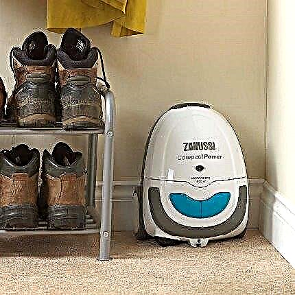 Top 5 best vacuum cleaners from Zanussi: rating of the most successful brand models