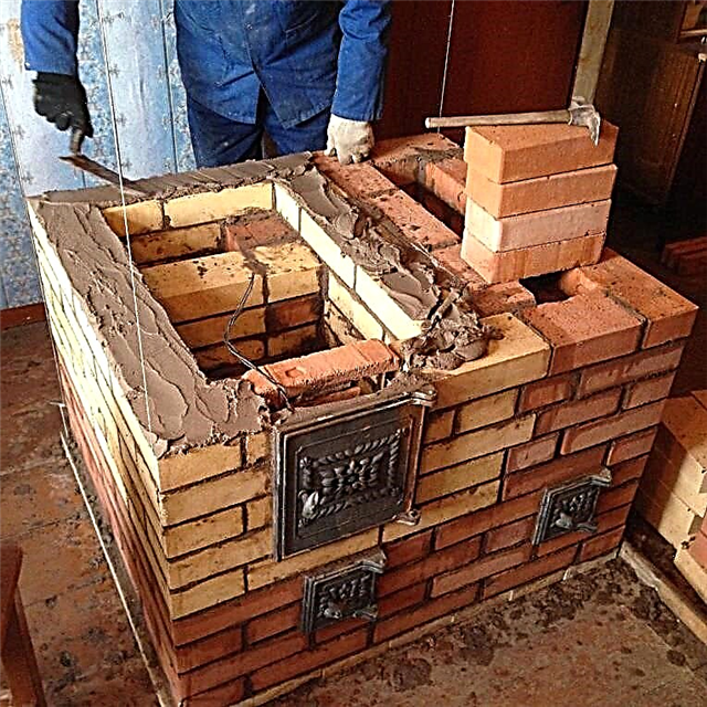 Brick stove for home: guidelines for choosing the optimal type and examples of orders for independent masters