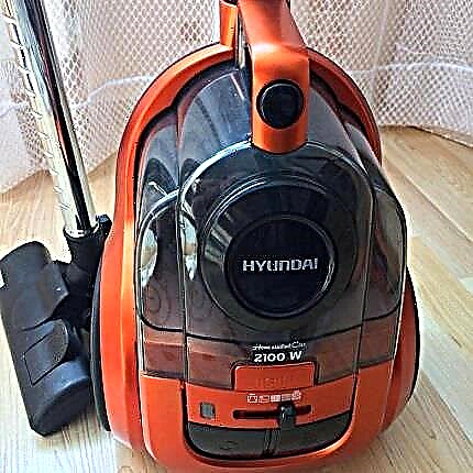 Hyundai vacuum cleaners: the best offers of a South Korean company + recommendations for customers
