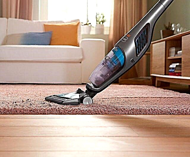 Vertical vacuum cleaners: ranking of the best models on the market and recommendations for choosing