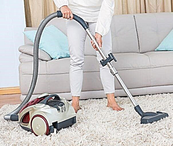 TOP-10 Hoover Vacuum Cleaners: Rating of Popular Models + Customer Recommendations