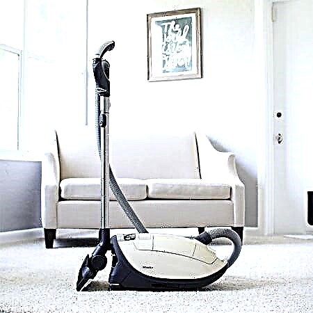 Rating of vacuum cleaners without a bag for collecting dust: TOP-17 of the best models on the market