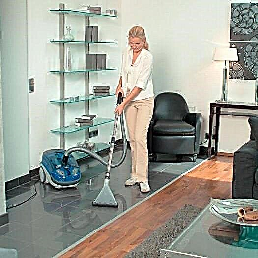 TOP-10 wet vacuum cleaners: ranking of the best models + recommendations for customers