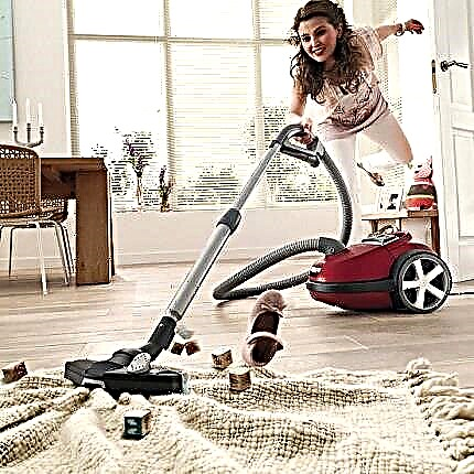 The most powerful vacuum cleaners on the market: a selection of the best models and guidelines for choosing the best home appliances