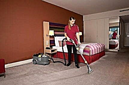 Vitek vacuum cleaners: an overview of the best models on the market and recommendations to potential buyers