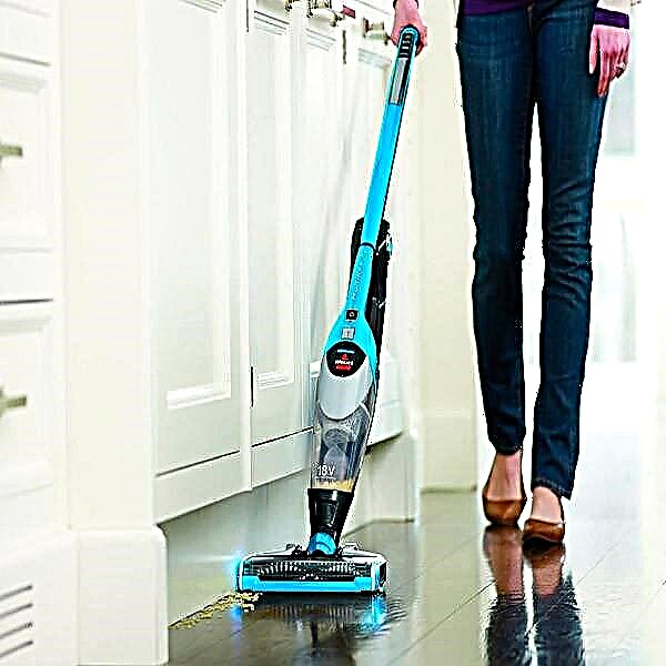 TOP-10 battery vacuum cleaners for the home: popular models + subtleties of choice