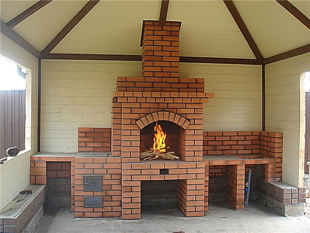 Brick stoves for giving on wood: the best orders and a step-by-step guide to the construction