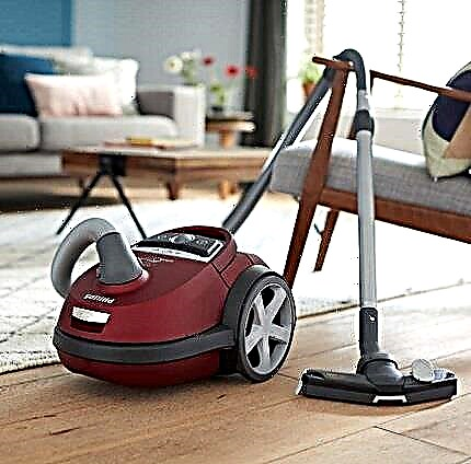 Review of the Philips FC 9174 vacuum cleaner: Grand Prix in the nomination “People’s Favorite”