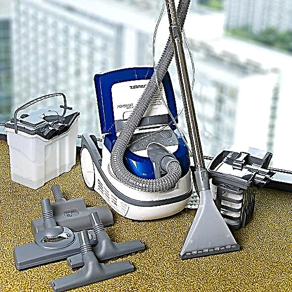 Zelmer Cleaning المكانس الكهربائية: ستة أفضل النماذج لمعالجة الأرضيات الرطبة والجافة