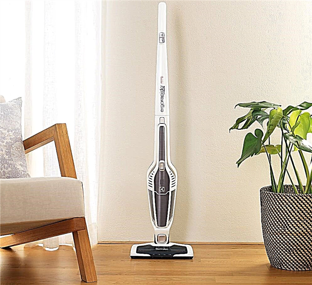 Wireless vacuum cleaners Electrolux: the top ten best models of the Swedish brand + tips for the buyer