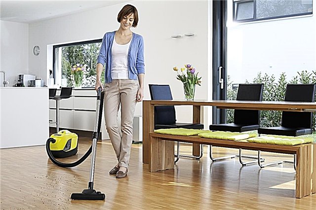 TOP-8 Karcher vacuum cleaners with aquafilter: a review of the models + what to look at before buying