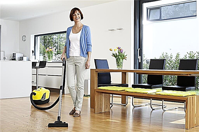 Vacuum cleaners Karcher: top ten models + subtleties of choosing a vacuum cleaner for the home